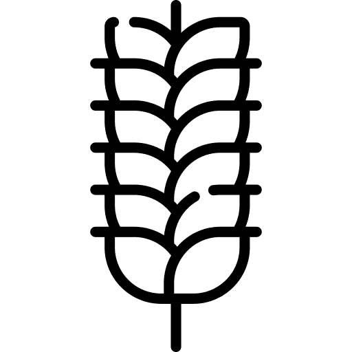 Allergène Blé (Gluten)