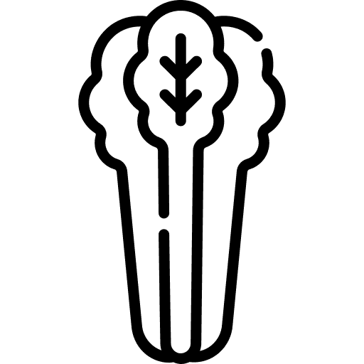Allergène Céleri